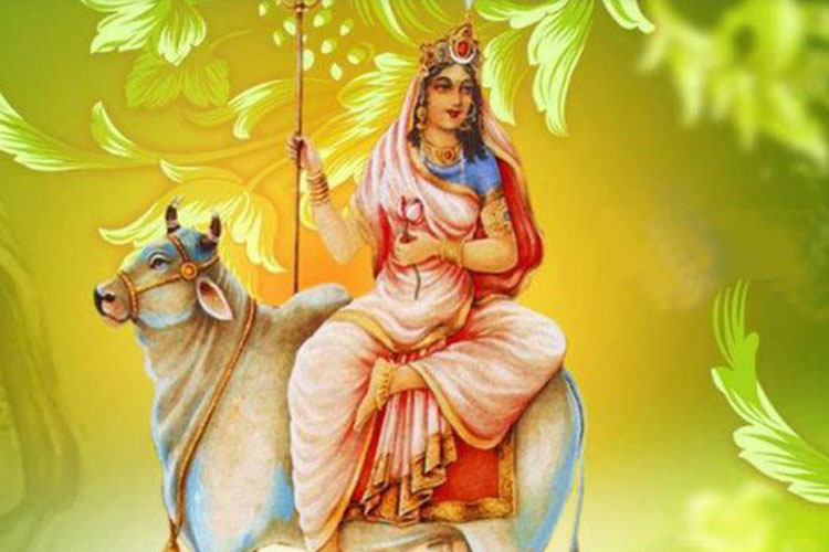 Nine days festival, worshiping different forms of Maa every day..