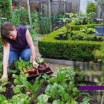 People who are fond of gardening are stress free and fresh