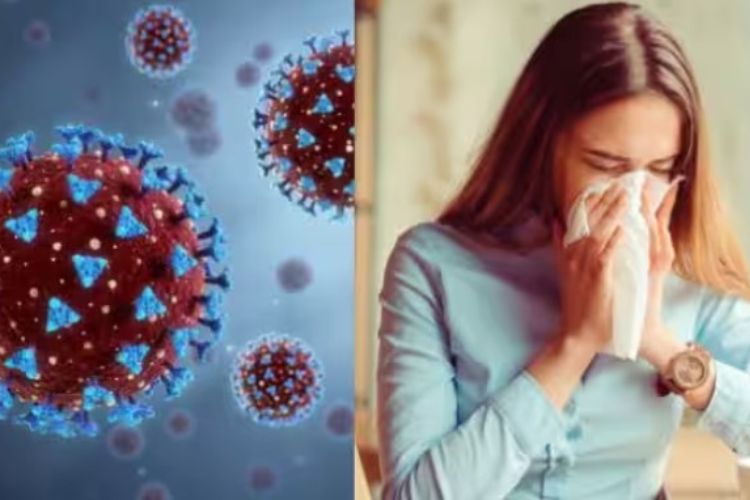 5 Ayurvedic herbs have remedies and properties to avoid H3N2 virus